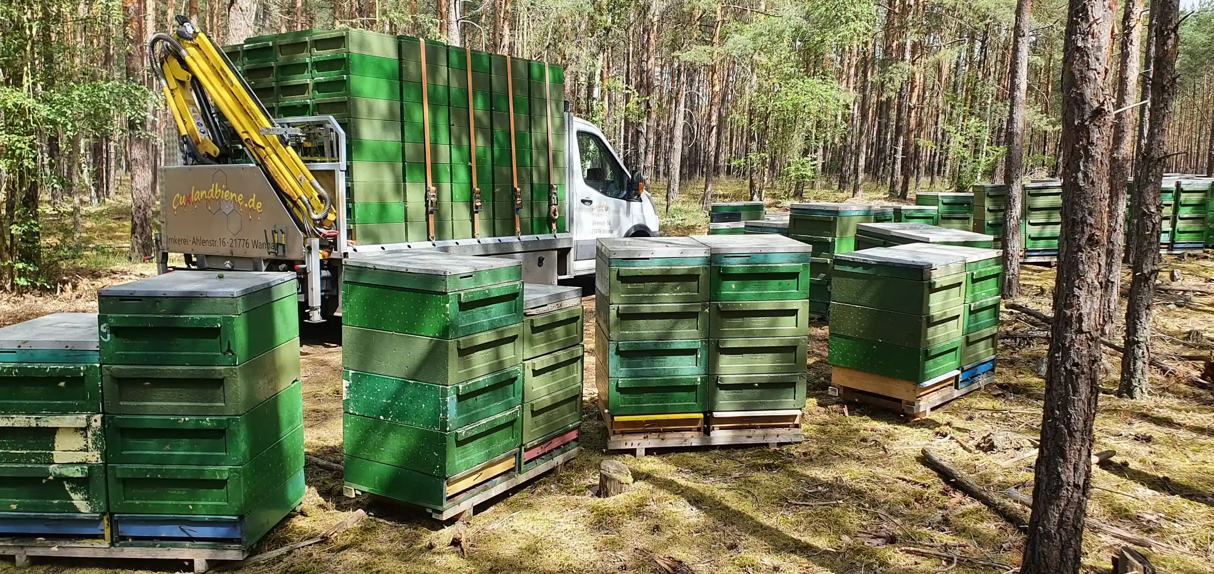 Arbeiten im Wald